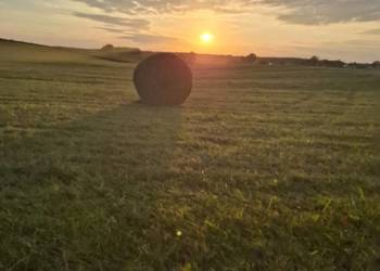 Sprzedam siano w belach