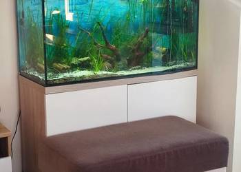 Akwarium 200l Akwarium 200l