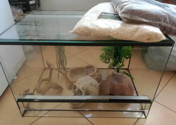 Terrarium dla węża