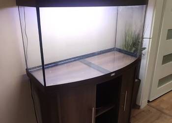 Akwarium Juwel 150 l z szafką