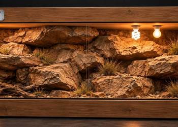 Terrarium pustynne dla żółwia greckiego agamy brodatej