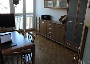 2pok, 39met, okolice Kruszwickiej PIWNICA/2WINDY (Wrocław)
