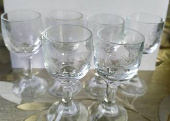 Kieliszki grawerowane 6 szt o pojemności 30g