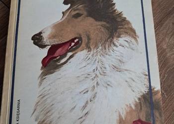 książka z 1979r "lassie wróć" Erica Knighta stan bdb-