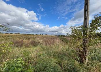 Syndyk sprzeda niezabudowaną nieruchomość gruntową - I przetarg
