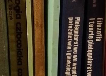 Pielęgniarstwo we współczesnym położnictwie Łepecka Klusek