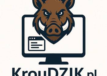 Tworzę strony i sklepy internetowe