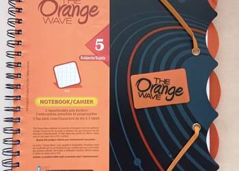 Kołonotatnik ORANGE DOUBLE WIRE A4+ 150 kartek w kratkę
