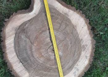 Plaster Orzecha Włoskiego 70-75 cm Gruby 8 cm Na Stolik Kawowy