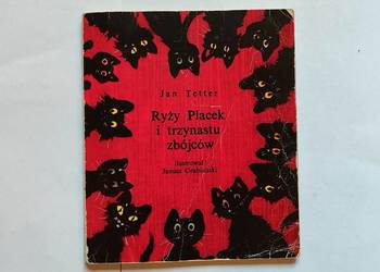 Ryży Placek i trzynastu zbójców - Jan Tetter