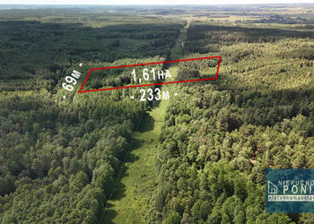 Działka leśna 1,61 ha Wólka Bosowska