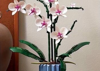 Orchidea do złożenia