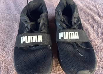 Buty puma