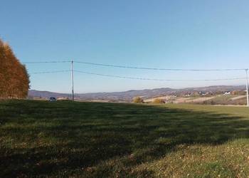 Sprzedam działkę rolną 92ar + dz. leśna 75ar.