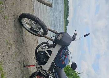 Zipp Pro XRide 125 CC /250cc Swap