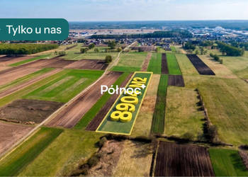 Łąka 8000m2 w Małaszewiczach Dużych