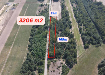 Dziecinów | działka rolna 3 239 m²