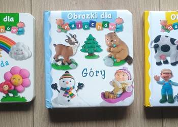 Zestaw 3 książek Obrazki dla maluchów
