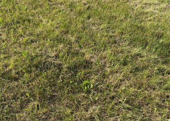 Działkę sprzedam 300m2 Mrzeżyno