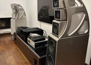 Wilson Audio Alexx V - mint
