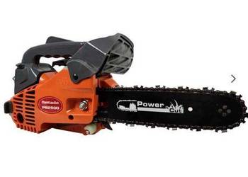 Pilarka gałęziówka