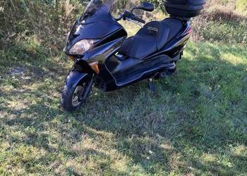 Honda forza 250abs 2005