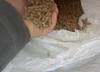 Wysłodki suche brykietowane