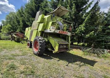 Claas senator