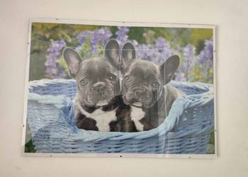 Obrazek do powieszenia na ścianie z puzzli