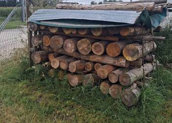 Drewno opalowe suche-walki.