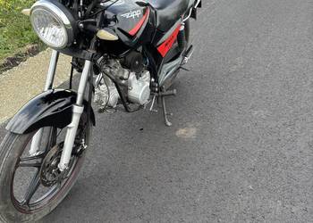 Zipp Neken 50cc niski przebieg