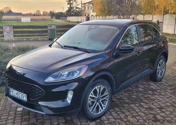 Ford Kuga Escape 1.5 Benzyna 180KM 4x4 wer.SEL 2022r Ford Kuga Escape 1.5 Benzyna 180KM 4x4 wer.SEL 2022r