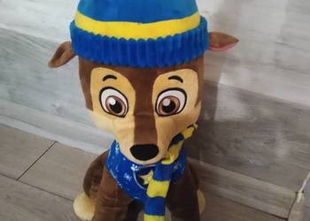 Pluszak chese