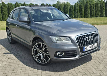 Audi Q5 2,0tdi Skóry.Navi.Klimatr 2 str.Tempomat.Alufelgi.Xenony 8R (2008-…