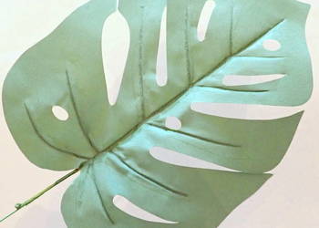 LIŚĆ MONSTERY, FILODENDRON DO KOMPOZYCJI, STROIKÓW 42cm N04