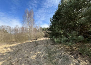 Działka o pow. 2,08 ha w m. Kawęczyn gm. Ciepielów Działka o pow. 2,08 ha w m. Kawęczyn gm. Ciepielów