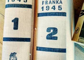 Okupacja i ruch oporu w dziennikach Franka książki wojenne