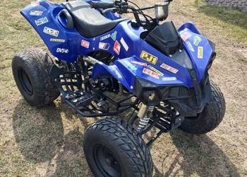 Quad 125 3+1 bombardier varia