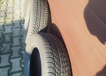 Opony zimowe Dębica 195/65 R15
