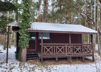 Działka leśna idealna na rekreację