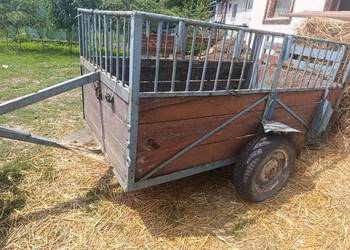 Swiniok przyczepka do traktora