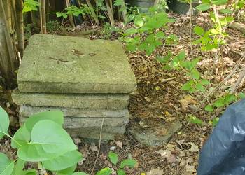 Płyty betonowe chodnikowe stare