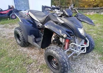 Quad 300