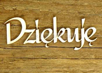Rehabilitacja dla wózkersa w Busku-Zdroju pomysł na 1%
