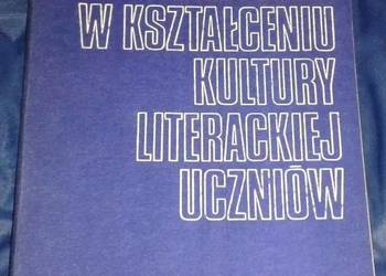 Telewizja w kształceniu kultury literackiej uczniów - Gajda