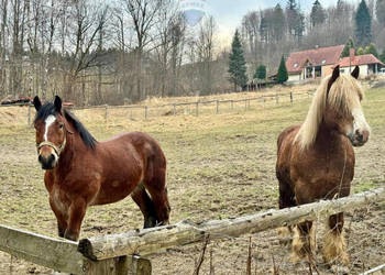 Widokowa działka budowlana w Wiśle 7 arów