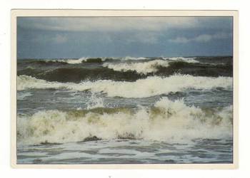 MORZE BAŁTYCKIE NAD BAŁTYKIEM STEGNA MORZE BAŁTYCKIE NAD BAŁTYKIEM STEGNA