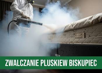 Zwalczanie pluskiew Biskupiec - Odpluskwianie, Dezynsekcja