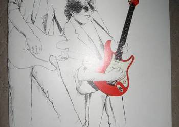 Peavey Fretted Instruments - katalog gitar