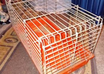 Klatka dla Świnki  morskiej TANIO